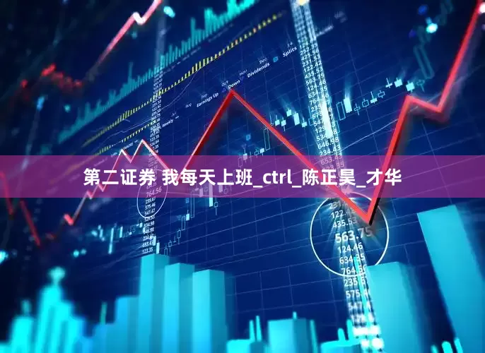 第二证券 我每天上班_ctrl_陈正昊_才华