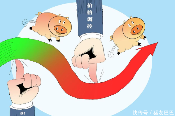 涨8配资 2025.5.4-明日猪价（下跌！北方行情冲高回落！）