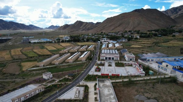 辉煌国际 “泉朗情深”系列报道② | 高原阿亚绽芳华——济南援藏绘就白朗乡村振兴新图景